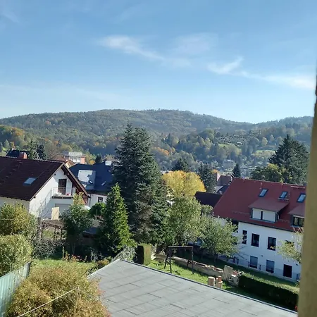 Finkenberg Apartment